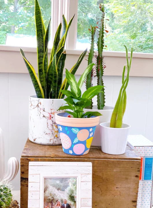 Wyllo Galentine's Paint Your Own Planter SoWa Boston