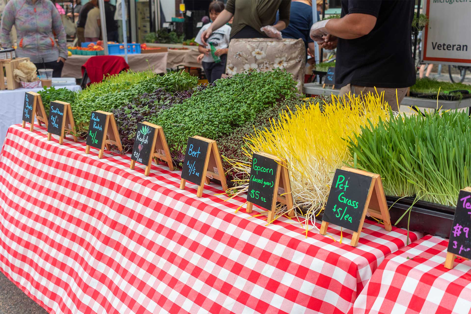 SoWa Open Market SoWa Boston